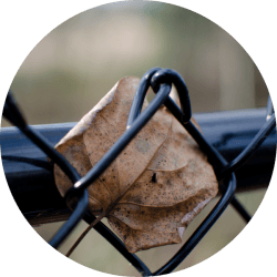 Walkway & Trail Fencing | Kelowna Chainlink Fences & Gates