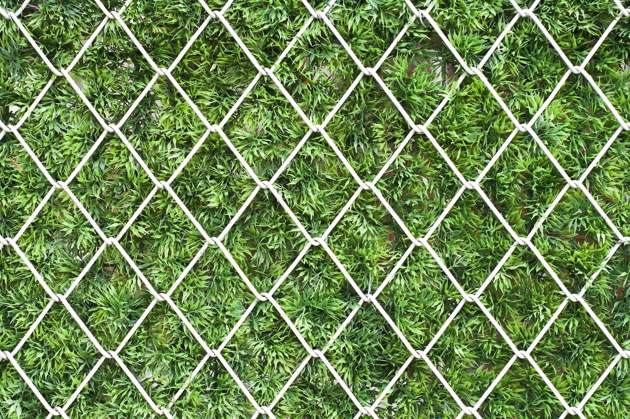 Improve Privacy - Okanagan Fences | Quality Chain Link Fencing